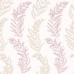 MIMOSA TRAIL - Blush