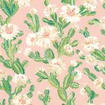 CACTUS BLOOM - Coco Blush