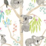 KOOKA KOALA - Candy Apple
