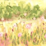 MEADOW - Raspberry & Citrine
