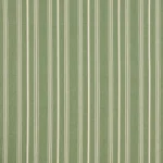 Breton Thyme
