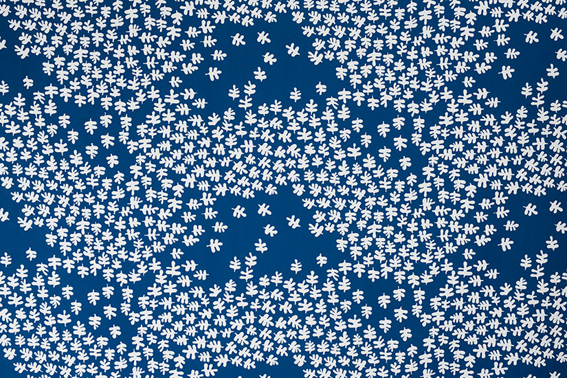 lager_blue-4 Lager FR - Imagem 1