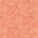 CONTOUR - Pumpkin