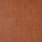 Saddle Rust