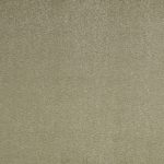 Sakiko Willow