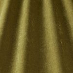 Savoy Olive - Imagem 2