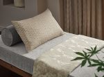Kumo Oyster - Imagem 4